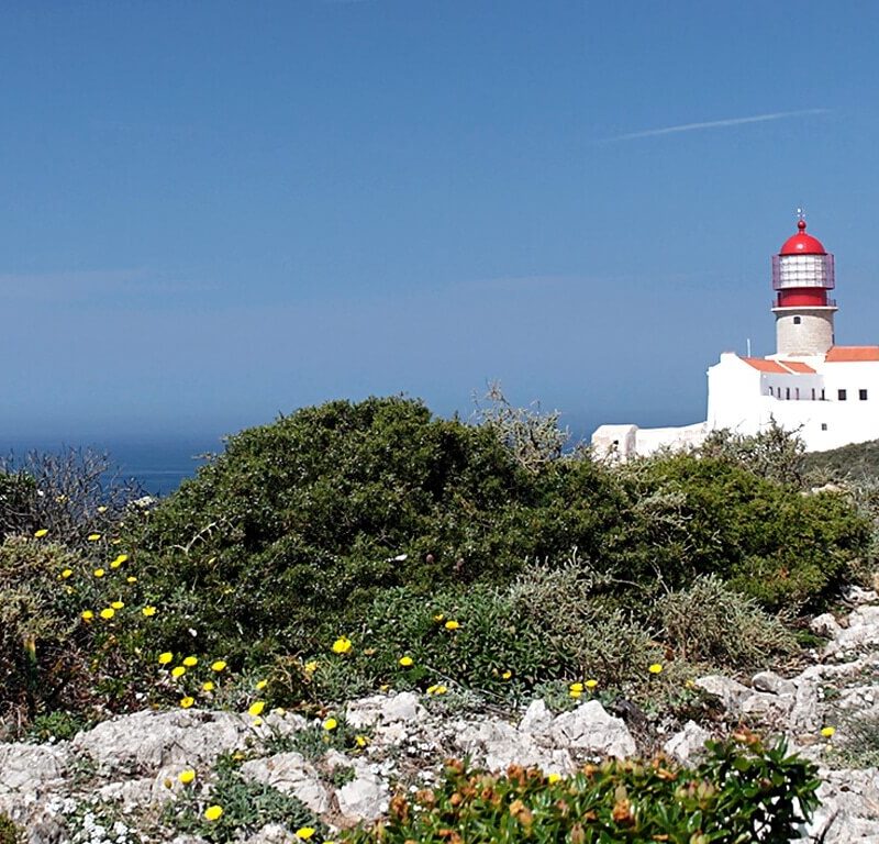 5 Ações Para Melhorar A Competitividade Do Turismo (5 De 5)