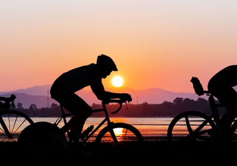 Perfil Do Turista Desportivo Que Visita o Porto e Norte